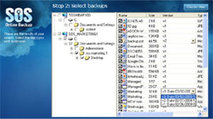 Unlimited Versioning & Archiving